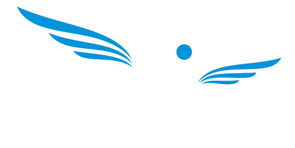 wealthywings logo